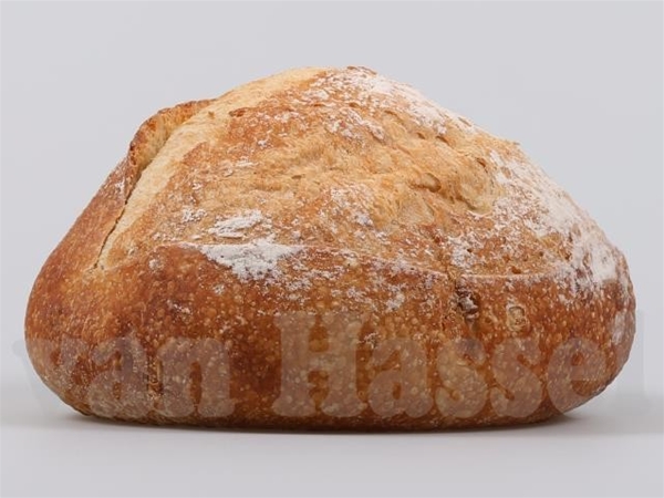 Wernhouts assortiment